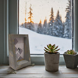 Mango Wood Handcrafted Photo Frame