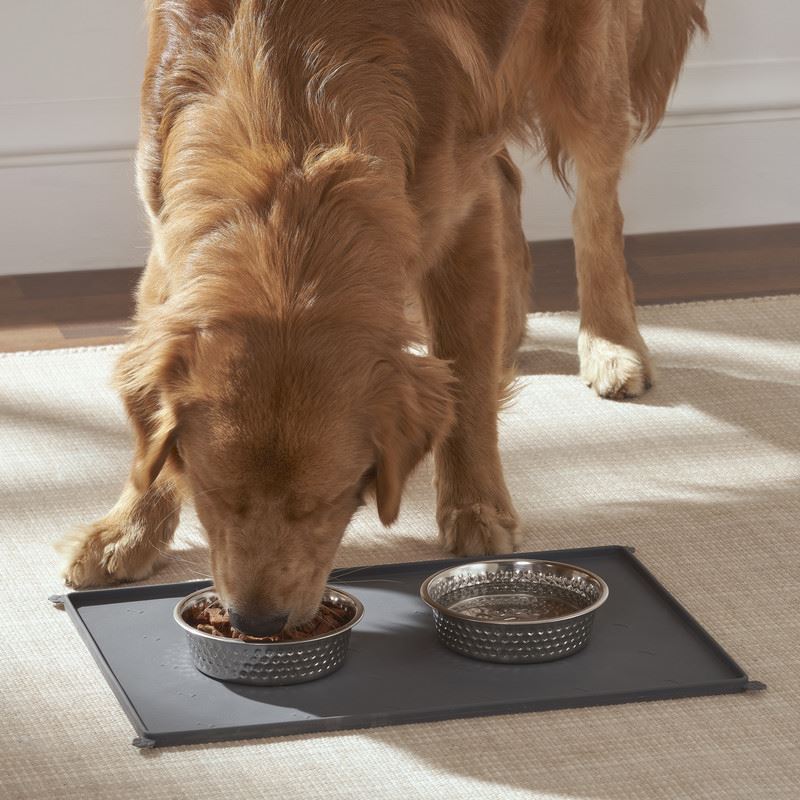 Feeding Mat with 2 Pet Bowls